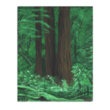 Load image into Gallery viewer, Redwoods #1
