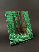 Load image into Gallery viewer, Redwoods #1
