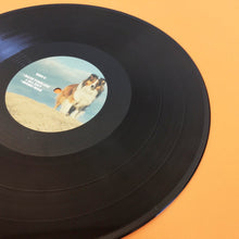 Load image into Gallery viewer, Davos Gatefold Vinyl
